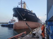 «Зернова ініціатива»: перше зафрахтоване ООН судно з українською агропродукцією прибуло в Африку