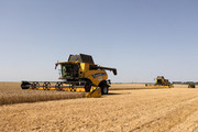 Жнива 2022: намолочено 25,9 млн тонн зерна