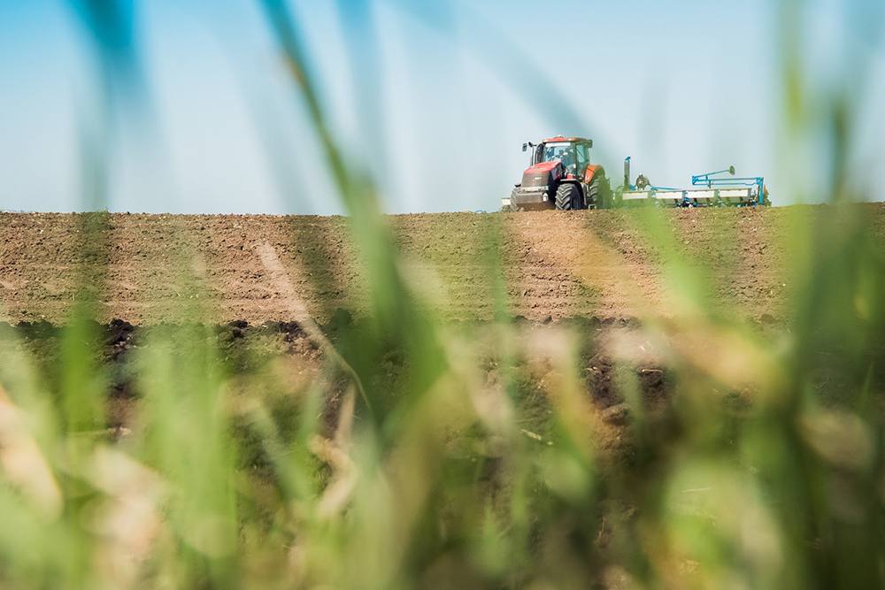 Аграрії всіх областей України проводять сівбу озимих зернових культур