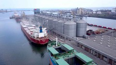 У порту Констанца оброблено 4,5 млн тонн українського зерна за період війни