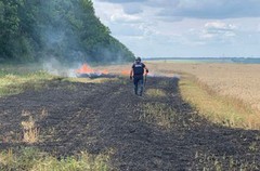 На повне розмінування земель знадобиться десять років - Мінагро