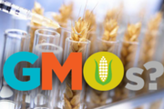 Регулювання сфери ГМО в Україні потребує осучаснення з урахуванням європейського досвіду, - Мінагрополітики