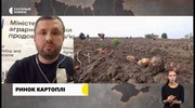 В Україні подешевшали картопля, капуста, столовий буряк та яблука: чого очікувати від цін восени