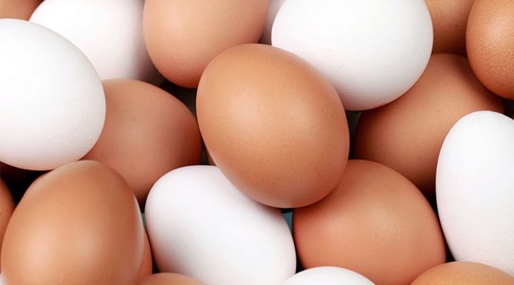 Асоціація уклала з Мінагрополітики України Меморандум про взаєморозуміння, спрямований на стабілізацію цінової ситуації на ринку яєць