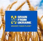 Зерно для мільйонів людей: почала роботу гуманітарна продовольча програма Grain from Ukraine