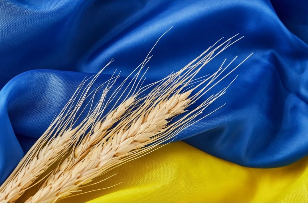 Grain from Ukraine: Україна запускає гуманітарну програму для недопущення голоду в світі
