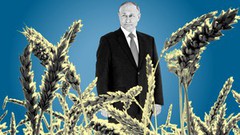 росія вкрала українського зерна щонайменше на мільярд доларів - Bloomberg