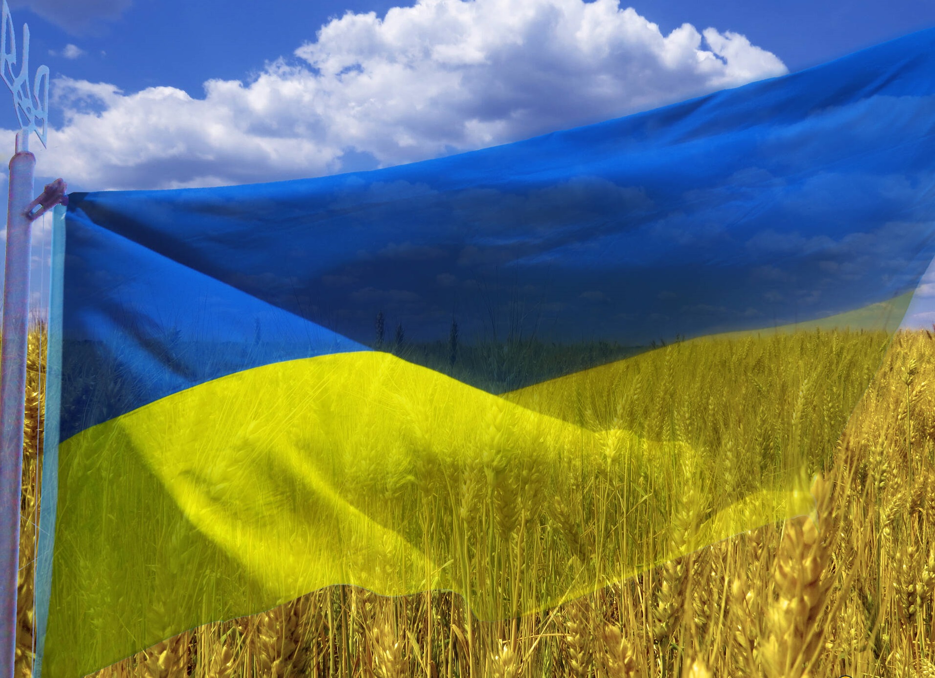 Розпочинаються переговори щодо закупівлі та поставки пшениці за програмою Grain from Ukraine