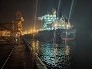 Порти Південний та Чорноморськ поновили вантажні операції після обстрілів Одеської області
