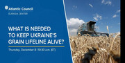 Вебінар Атлантичної Ради: українському аграрному бізнесу потрібен «коридор фінансування»