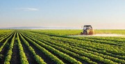 Мінагрополітики прийнято зміни до Розрахунку частки сільськогосподарського товаровиробництва
