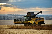 На Сумщині в полях залишається половина кукурудзи, а аграрії Харківщини перевиконали план по озимому ріпаку на 40%