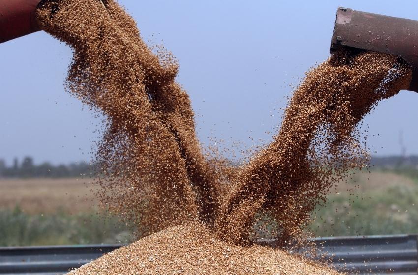До розкрадання коштів на експорті українського зерна причетні невеликі зернотрейдери — Микола Горбачьов