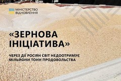 Зернова ініціатива: Через затримки перевірок кількість виходів суден із українських портів критично зменшується