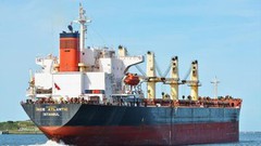 Через українські порти за рік пройшло 59 мільйонів тонн вантажів: підсумки року від АМПУ