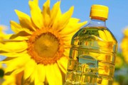 USDA підвищило прогноз для української соняшникової олії