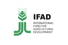 Україна стане повноправним членом Міжнародного фонду сільськогосподарського розвитку (IFAD)