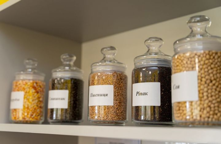 ГМО-зерно на елеваторах: що буде, якщо в Україні дозволять вирощувати генномодифіковану продукцію