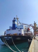 За дві доби з морських портів України вийшли 10 суден із сільгосппродукцією