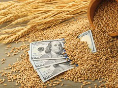 За лютий 2023 року Україна експортувала більше зернових, зернобобових і борошна, ніж торік