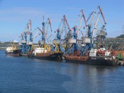 Через порт Бердянська і залізницею окупанти хочуть вивезти 1 млн т зерна нового врожаю