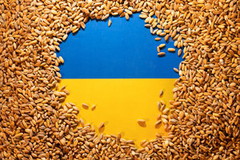 Прем'єр-міністри Польщі та Румунії просять ЄС створити механізм відстеження експорту зерна з України