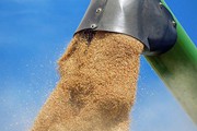 Cargill припинить експорт із рф, Viterra також планує вийти з російської торгівлі зерном