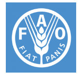 ФАО та ЄБРР працюють над стратегією розвитку агробізнесу в Україні