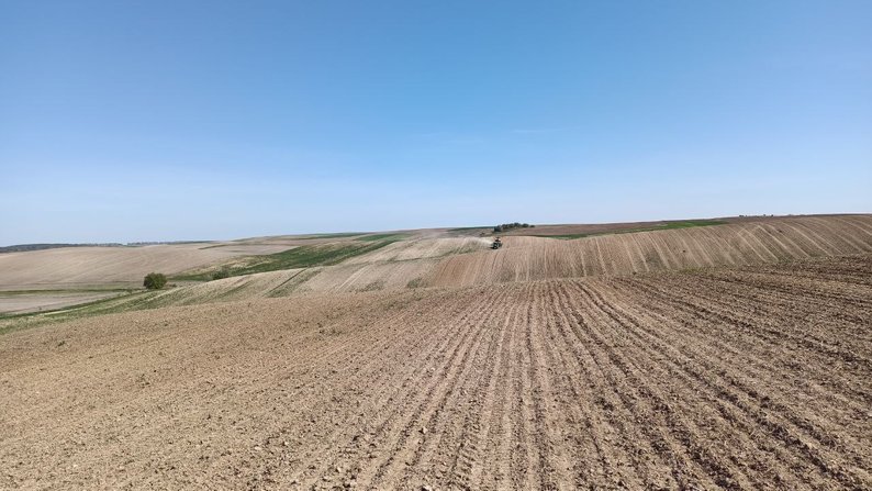Є підстави сподіватися на високу врожайність озимих зернових в Україні – НААН