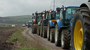 Румунські фермери вимагають заборони на ввезення зерна з України та погрожують загальнонаціональними протестами, а Словаччина заявила про виявлення української пшениці з пестицидами
