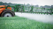 Заборона на використання пестицидів у Франції не вплине на експорт зерна з країни