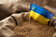 Польща та Угорщина заборонили ввезення української агропродукції. Що відомо?
