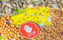 Словаччина слідом за Польщею та Угорщиною зупиняє імпорт зерна з України