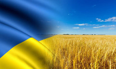 Українські аграрії закликають європейських колег зняти жорсткі односторонні обмеження щодо торгівлі та спільно знайти компромісне рішення