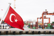 Туреччина вводить загороджувальні мита на імпорт до країни ключових зернових культур