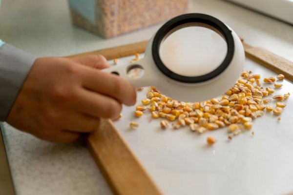 У 2023 році збільшилась кількість нотифікацій на агропродукцію України