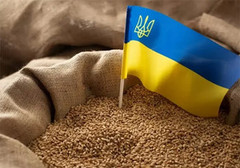 Польська заборона імпорту зерна коштувала Україні $143 млн – Мінекономіки