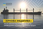 «Зернова ініціатива»: росія заблокувала реєстрацію та проведення інспекцій вхідного флоту