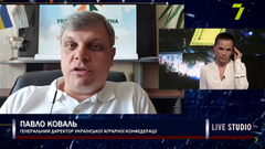 Переговори щодо зернових коридорів імовірно триватимуть і цього тижня, - Павло Коваль