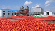 На деокупованій Снігурівщині поновлює роботу завод компанії Agrofusion