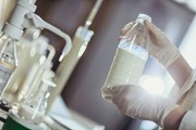 Міністерство агрополітики ініціює відновлення ветеринарного контролю на молочну продукцію з Польщі