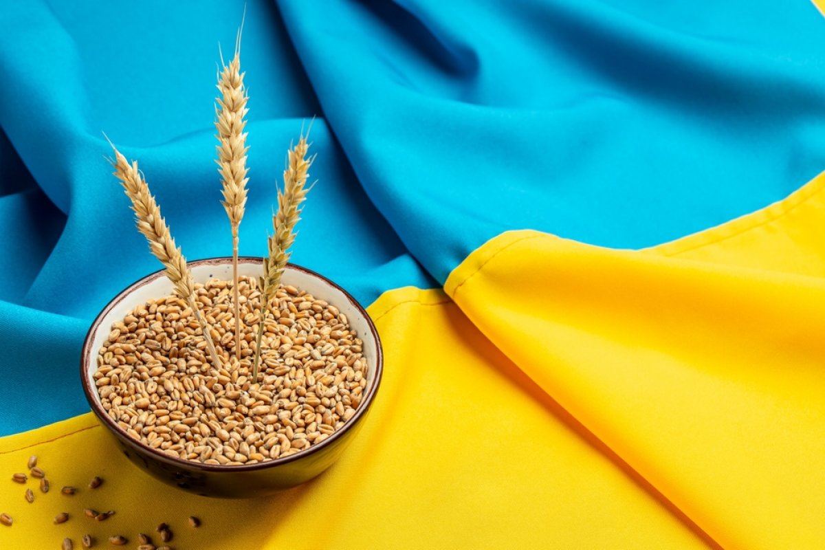 Україна планує збільшити експорт сільськогосподарської продукції до Африки