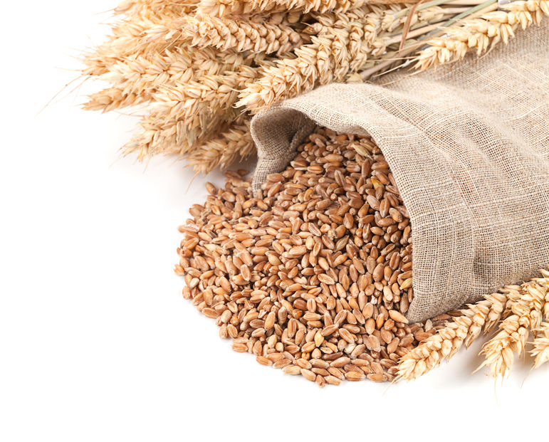 Національне виробництво пшениці в Австралії падає, тоді як глобальні посіви виявляються «значно» більшими, ніж очікувалося