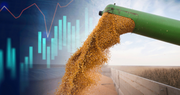 Біржові ціни на пшеницю, кукурудзу та сою зросли із-за стану посівів