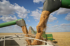Експорт зерна за підсумками 2022/23 МР на 640 тис. тонн перевищив показник минулого сезону