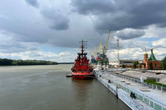 Розвиток гирла Бистре на Дунаї надасть змогу наростити експорт агропродукції на мільйон тонн щомісяця - Васьков