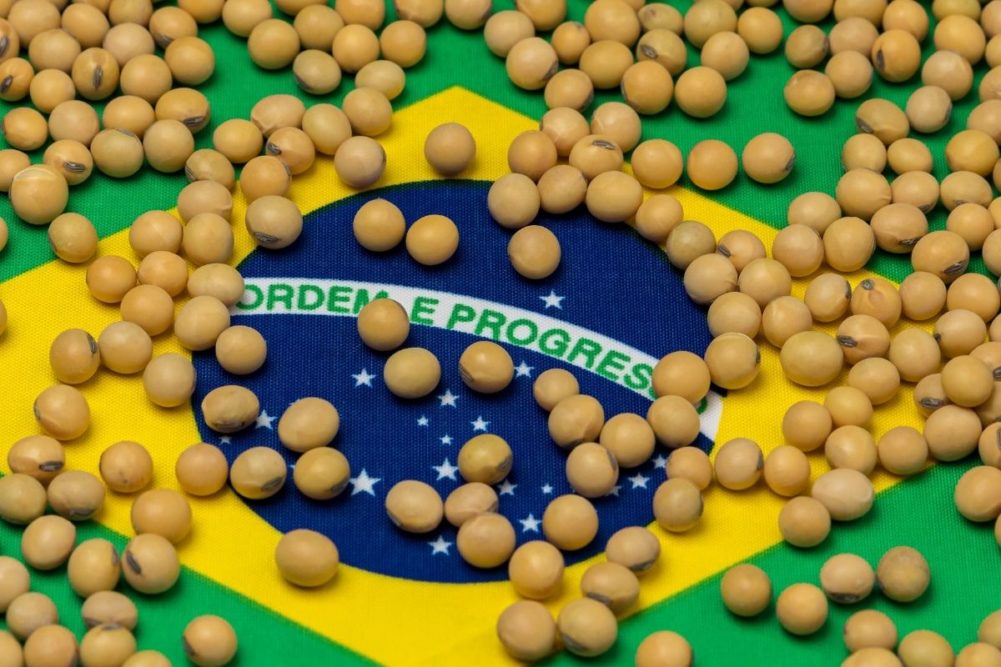 Conab прогнозує ймовірне падіння експорту сої та кукурудзи з Бразилії