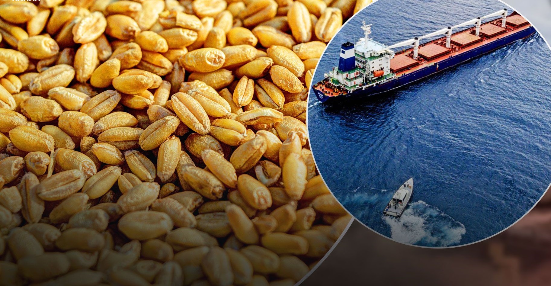 Ставки фрахту на перевезення зерна суднами з дунайських портів до Італії та Іспанії зросли на 2-3 USD/MT за тиждень – Atria Brokers