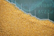 Експерти МВФ повідомили скільки може втрачати Україна щомісяця через скорочення експорту зерна