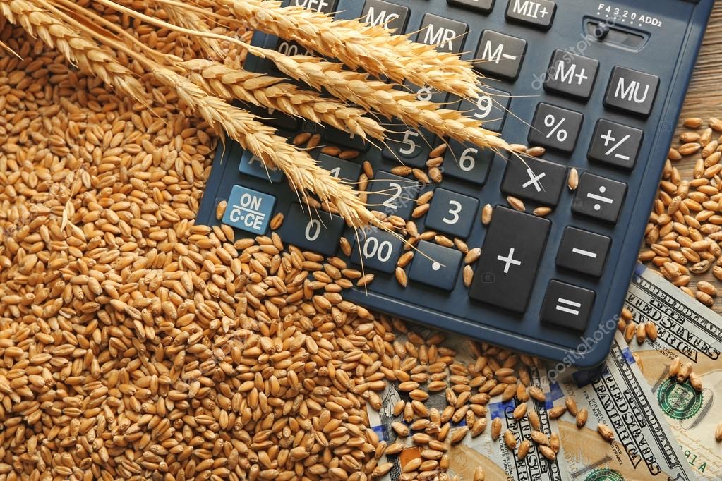 Україна може втрачати до $800 мільйонів щомісяця через скорочення експорту зерна – МВФ